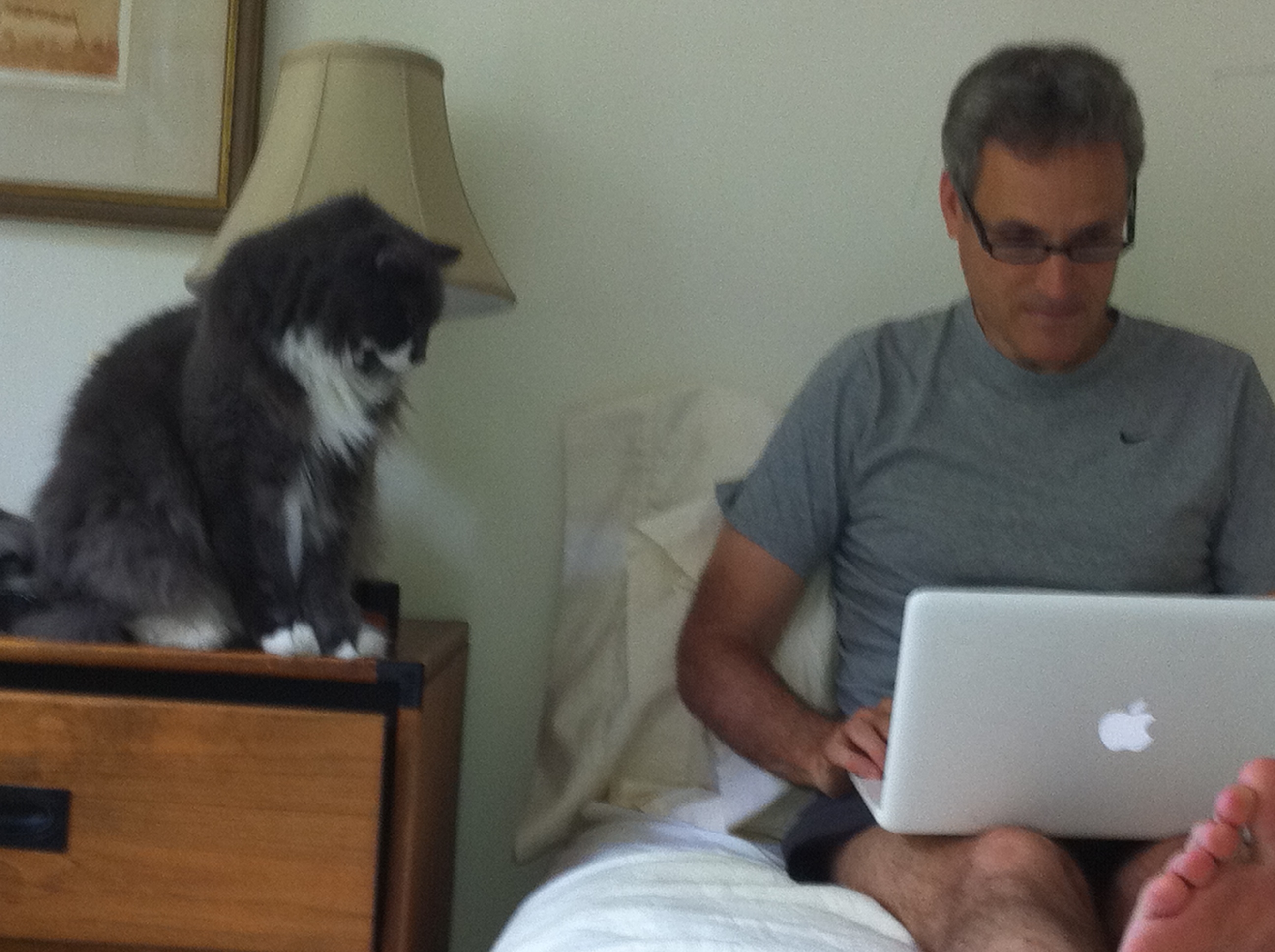 Writing with Fred the cat